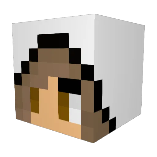 NatJ25 Minecraft avatar head, 3D render