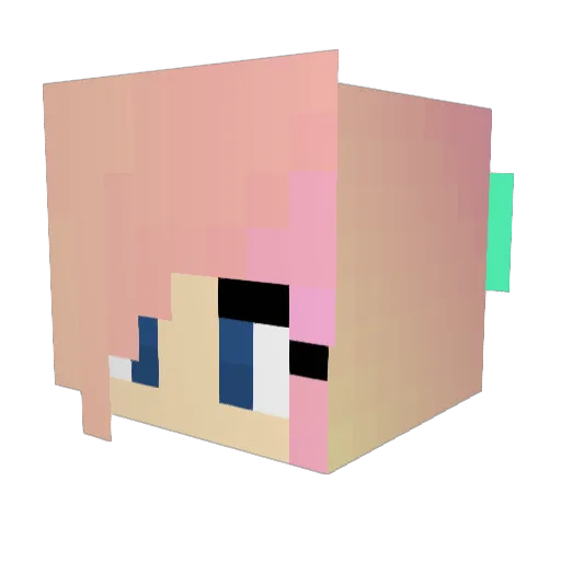 NatLovesGaga Minecraft avatar head, 3D render