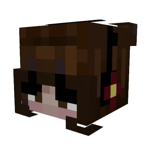 NatNoodlez Minecraft avatar head, 3D render