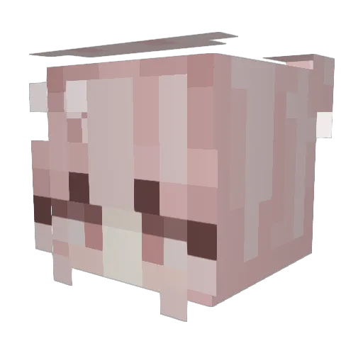 NatScheetje Minecraft avatar head, 3D render