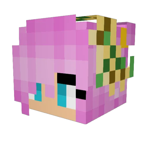 NatSunshine Minecraft avatar head, 3D render