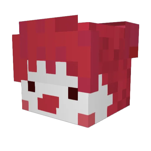 Nat_owo Minecraft avatar head, 3D render