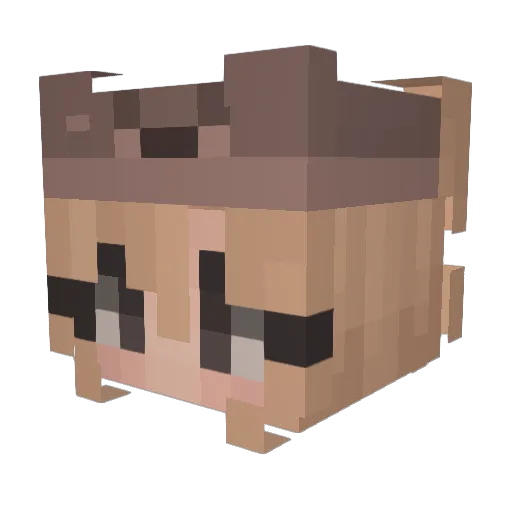 Natacata Minecraft avatar head, 3D render