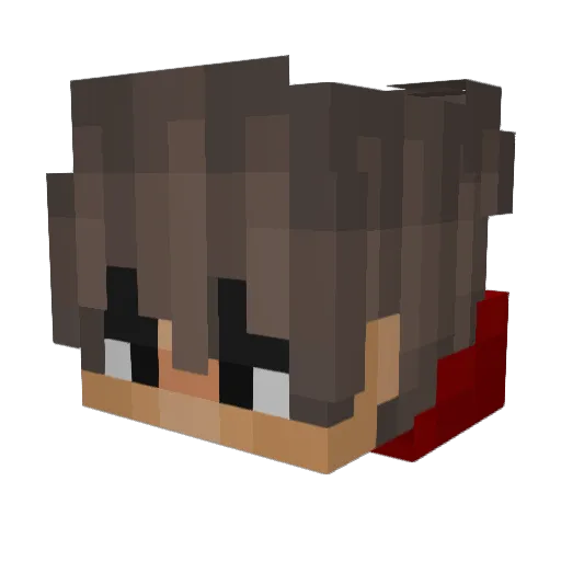 Natalas06 Minecraft avatar head, 3D render
