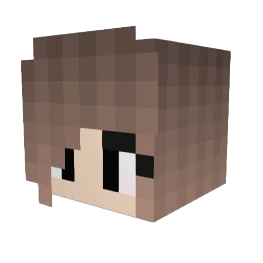 Natalie160 Minecraft avatar head, 3D render
