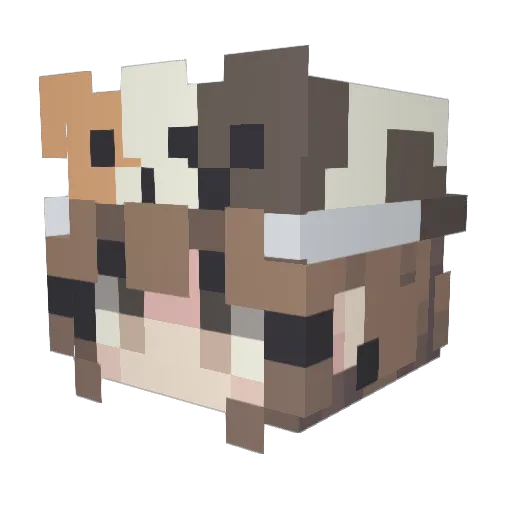 Natalips26 Minecraft avatar head, 3D render