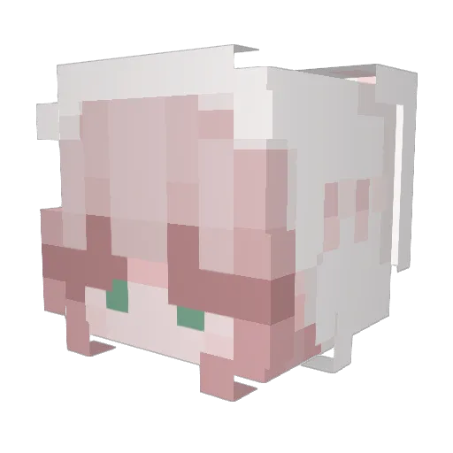 Nataliyeah Minecraft avatar head, 3D render