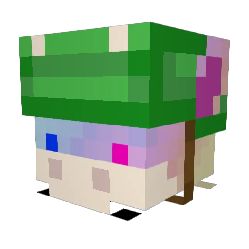 Natan37564 Minecraft avatar head, 3D render