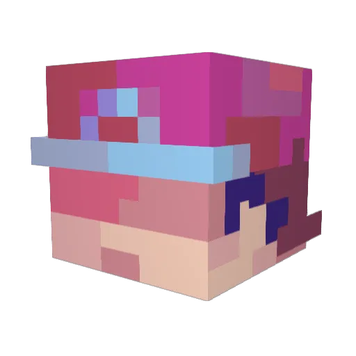 Nataniel160 Minecraft avatar head, 3D render