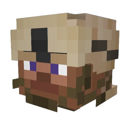 Nataniel27 Minecraft avatar head, 3D render
