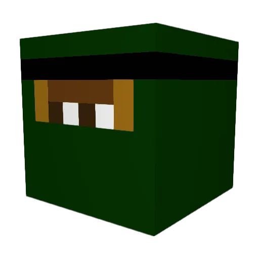 NatannnM Minecraft avatar head, 3D render