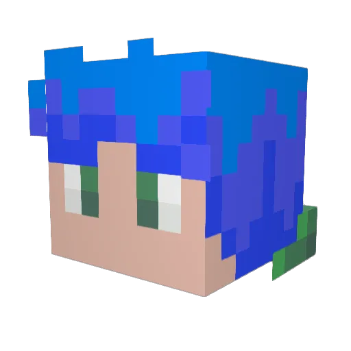 Natanskybudder8 Minecraft avatar head, 3D render