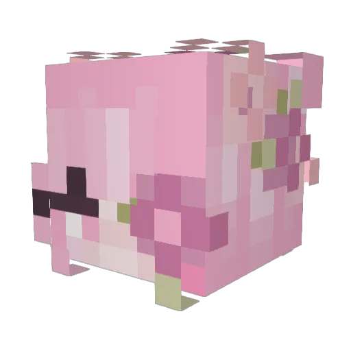 Natasha2430 Minecraft avatar head, 3D render