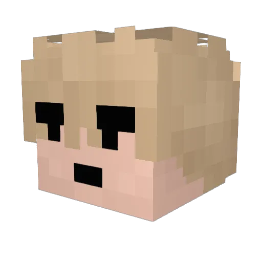 Natdon1 Minecraft avatar head, 3D render