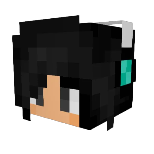 Nate0022 Minecraft avatar head, 3D render
