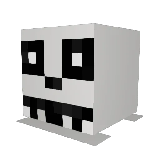 Nate1207 Minecraft avatar head, 3D render