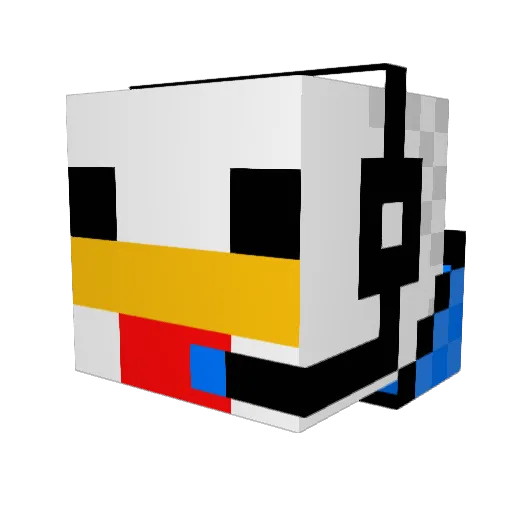 Nate4591 Minecraft avatar head, 3D render