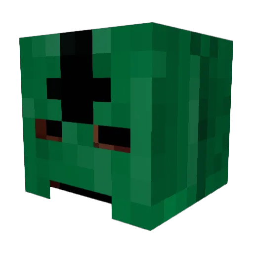 NateSlayerRox Minecraft avatar head, 3D render