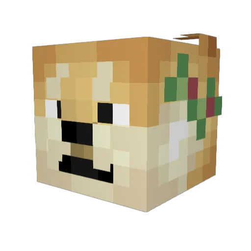 NateTheDog Minecraft avatar head, 3D render