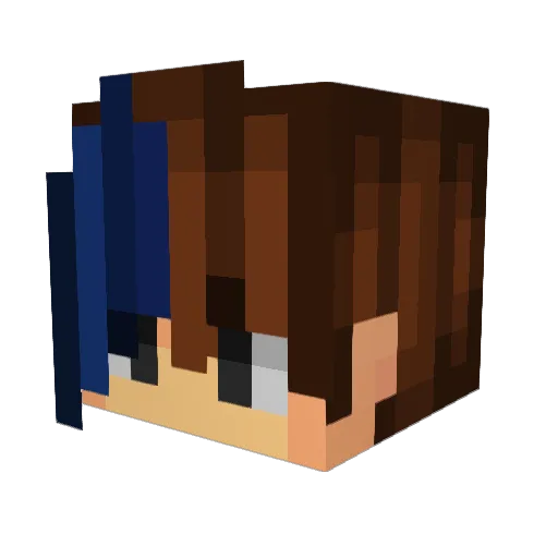 NateWatey Minecraft avatar head, 3D render