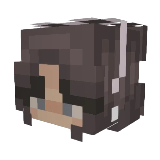 Nate_1906 Minecraft avatar head, 3D render