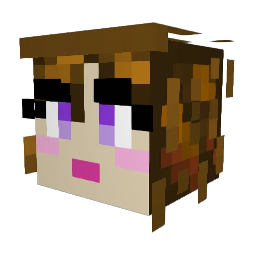 Nate_415 Minecraft avatar head, 3D render