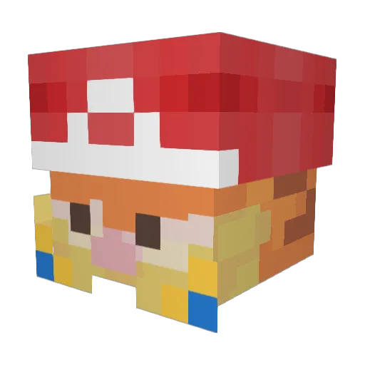 Nate_CF Minecraft avatar head, 3D render