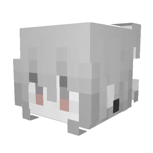Nate_KS Minecraft avatar head, 3D render