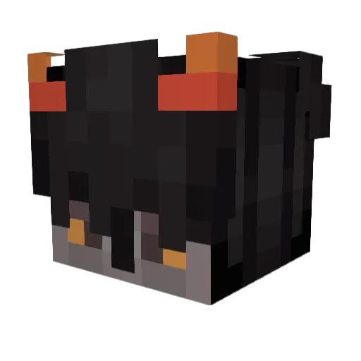 Nate_TheFox Minecraft avatar head, 3D render