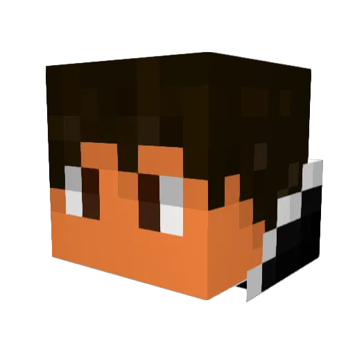 Nate_world Minecraft avatar head, 3D render