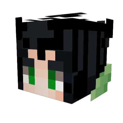 NatellaToast Minecraft avatar head, 3D render