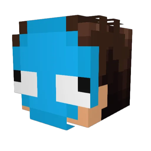 NaterJ20 Minecraft avatar head, 3D render