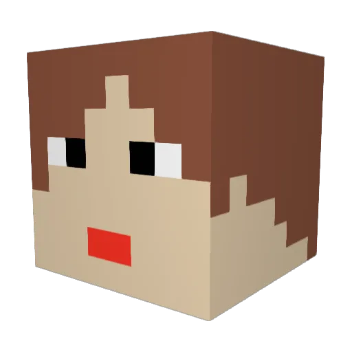 Naterich2011 Minecraft avatar head, 3D render