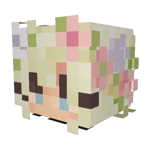 Naterinoo Minecraft avatar head, 3D render