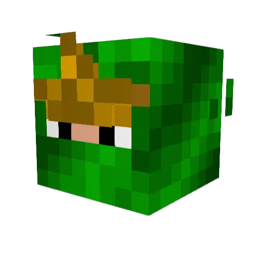 Nateron1111 Minecraft avatar head, 3D render