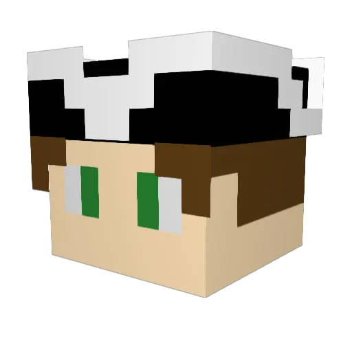 Nathalon753 Minecraft avatar head, 3D render