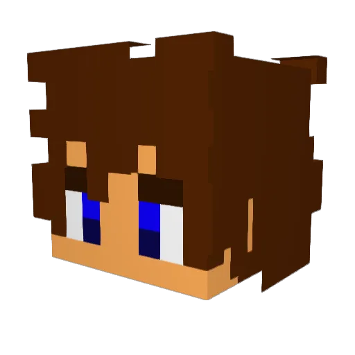 Nathan0904 Minecraft avatar head, 3D render