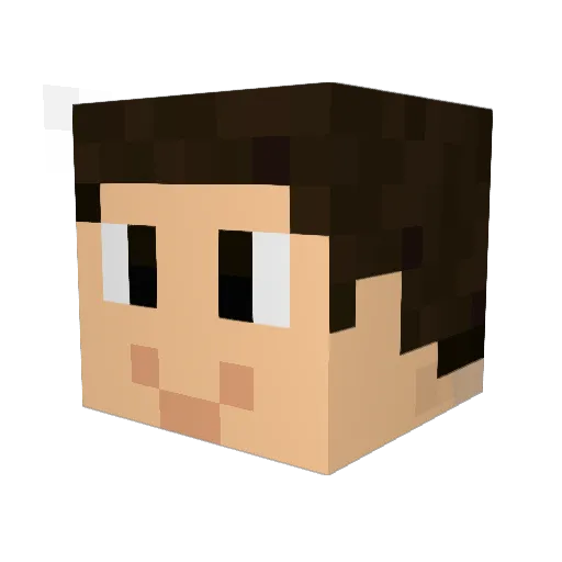 Nathan12101 Minecraft avatar head, 3D render