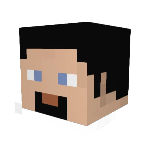 Nathan1248 Minecraft avatar head, 3D render