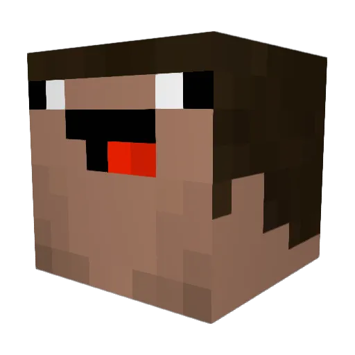Nathan1252 Minecraft avatar head, 3D render