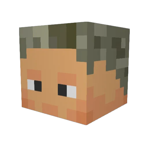 Nathan16104 Minecraft avatar head, 3D render