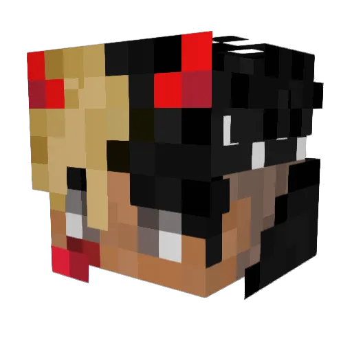 Nathan2K_ Minecraft avatar head, 3D render