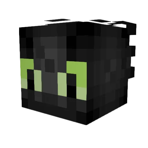 Nathan44526 Minecraft avatar head, 3D render
