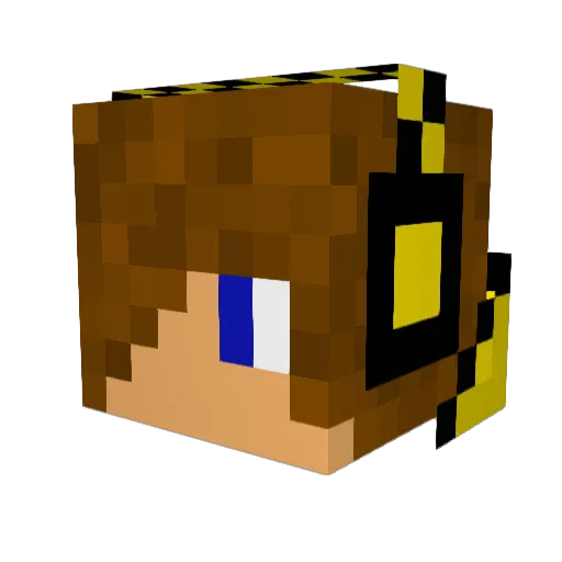 Nathan5110 Minecraft avatar head, 3D render