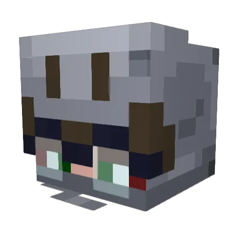 Nathan517 Minecraft avatar head, 3D render