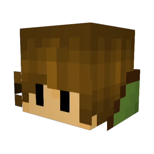 Nathan557 Minecraft avatar head, 3D render