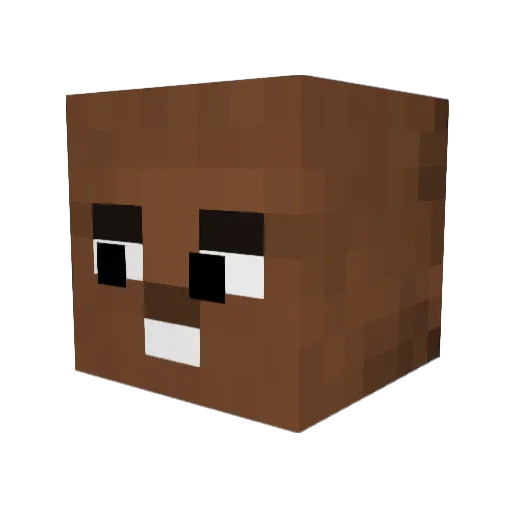 Nathan7656 Minecraft avatar head, 3D render