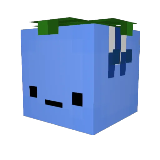 NathanEntirely Minecraft avatar head, 3D render