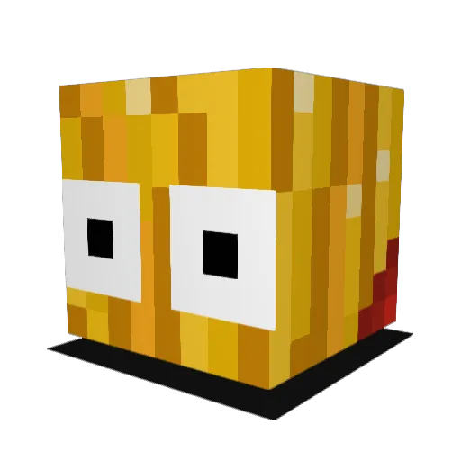NathanFangsz Minecraft avatar head, 3D render