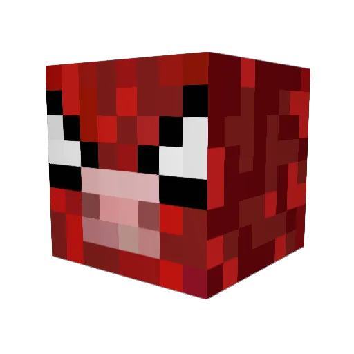 NathanGavigan Minecraft avatar head, 3D render